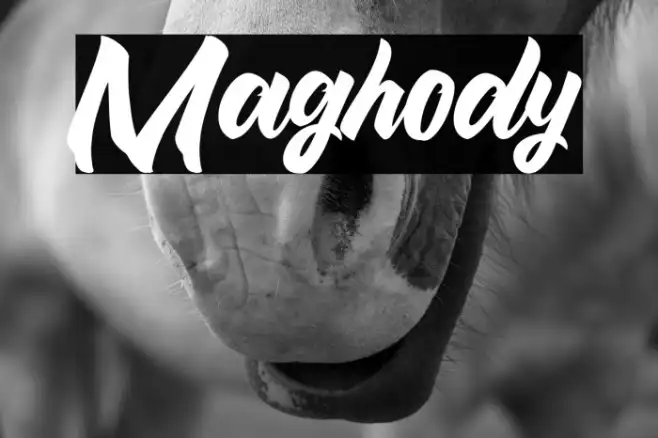 Maghody Example 3