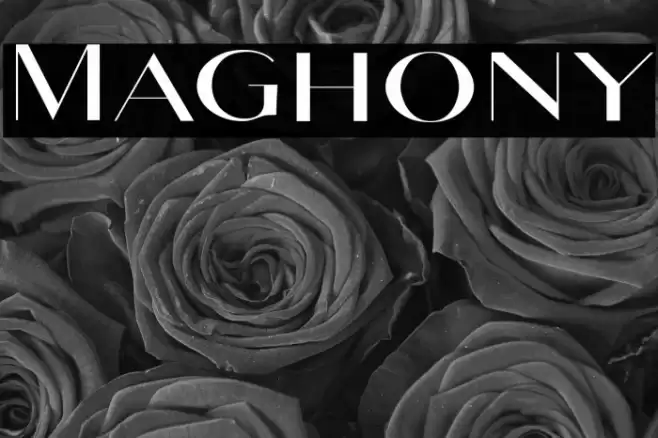 Maghony Font examples