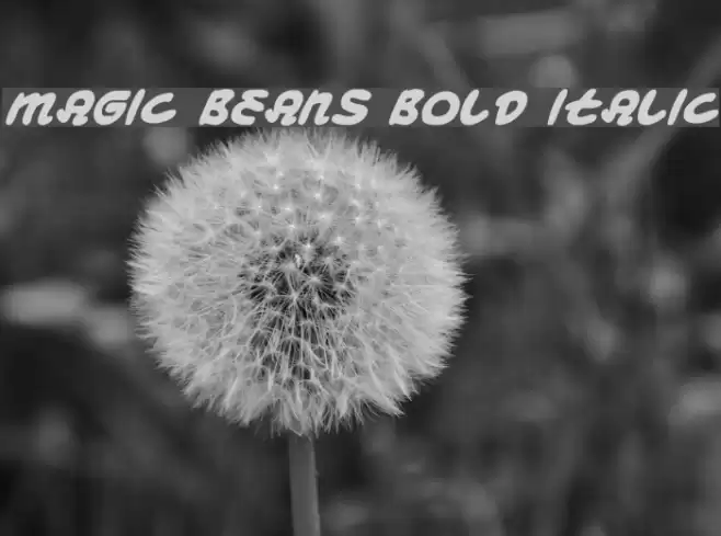 Magic Beans Bold Italic Шрифта examples