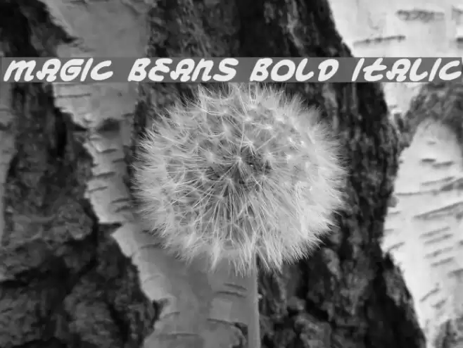 Magic Beans Bold Italic Шрифта examples