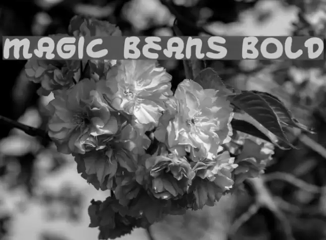 Magic Beans Bold Font examples