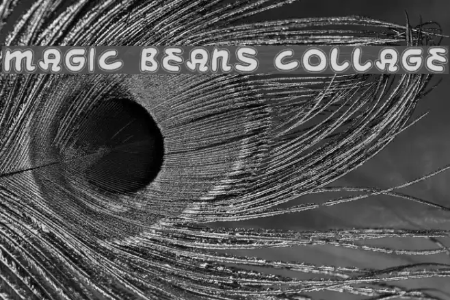 Magic Beans Collage Example 2
