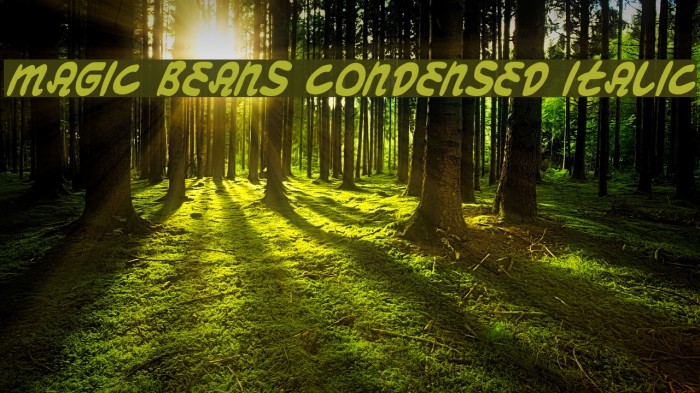 Magic Beans Condensed Italic Font examples