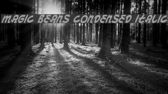 Magic Beans Condensed Italic फ़ॉन्ट examples