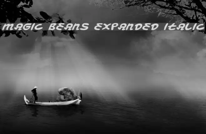 Magic Beans Expanded Italic Font examples
