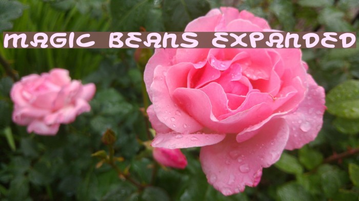 Magic Beans Expanded Font examples