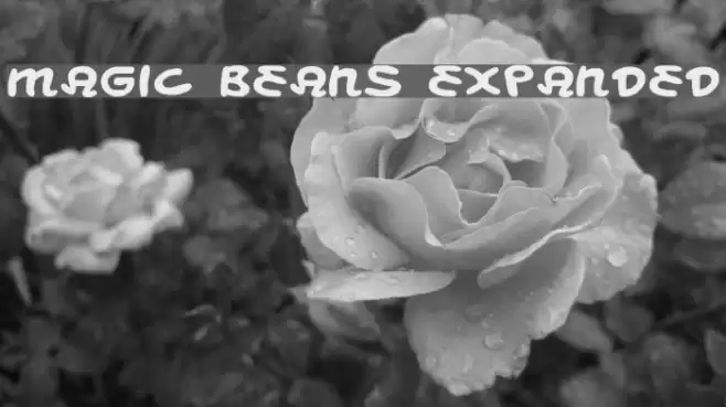 Magic Beans Expanded Font examples