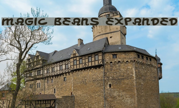 Magic Beans Expanded Font examples