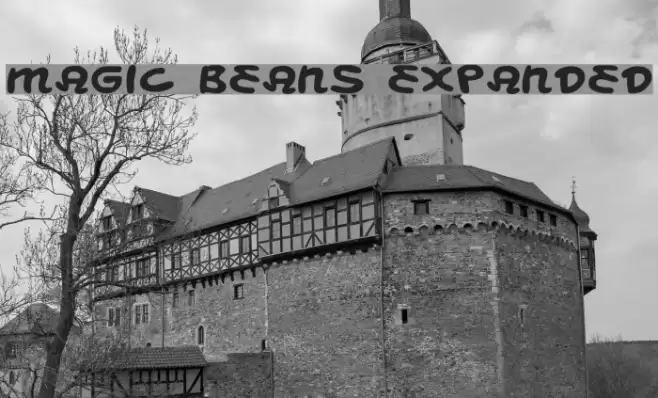 Magic Beans Expanded Font examples