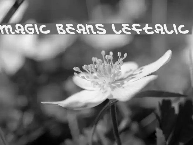 Magic Beans Leftalic Fonte examples
