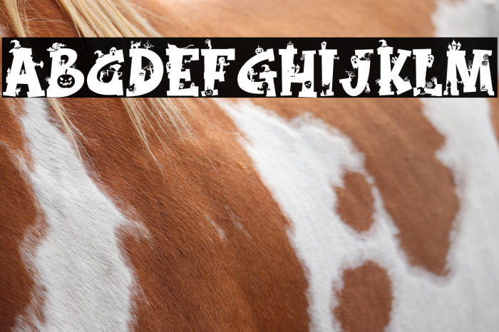 Magic Broom Monogram Example 1