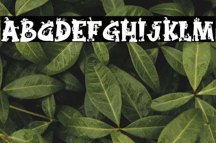 Magic Broom Monogram Example 2