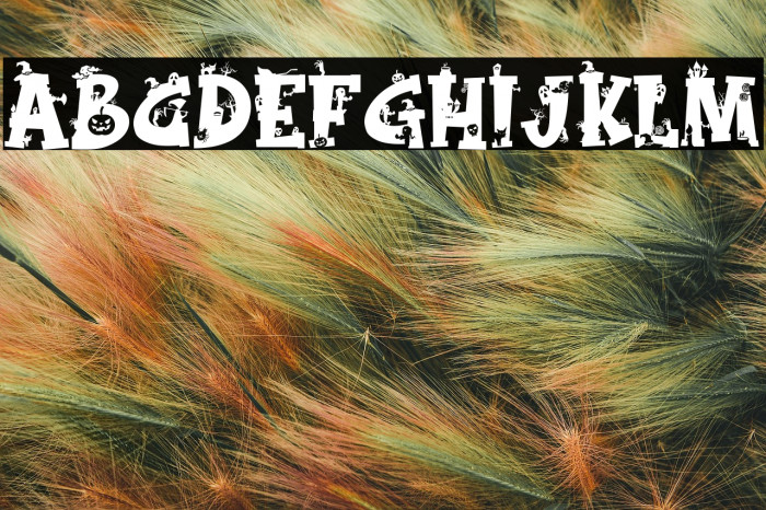 Magic Broom Monogram Example 3