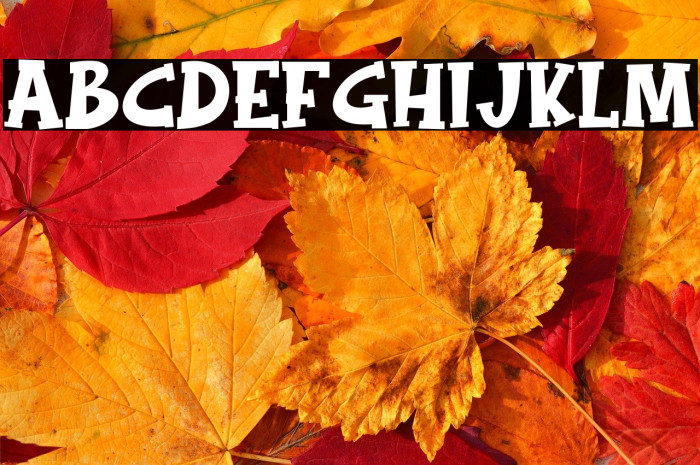 Magic Broom Example 1