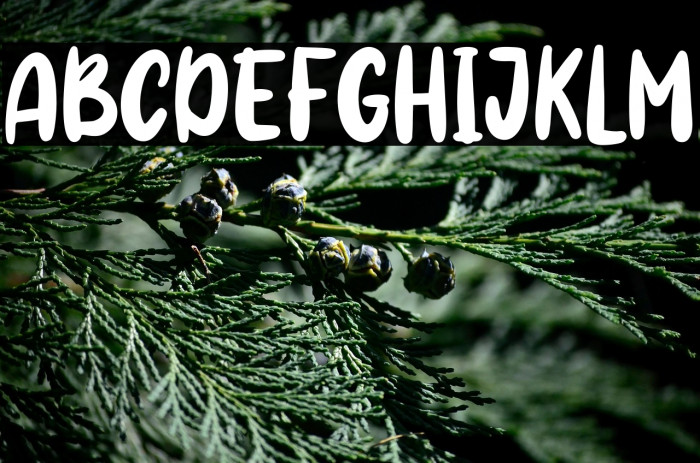 Magic Candy Example 1