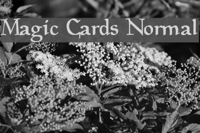 Magic Cards Normal 字体 examples