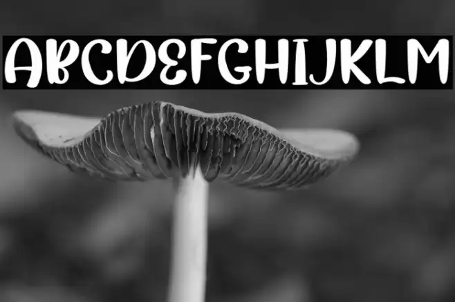 Magic Christmas Font examples