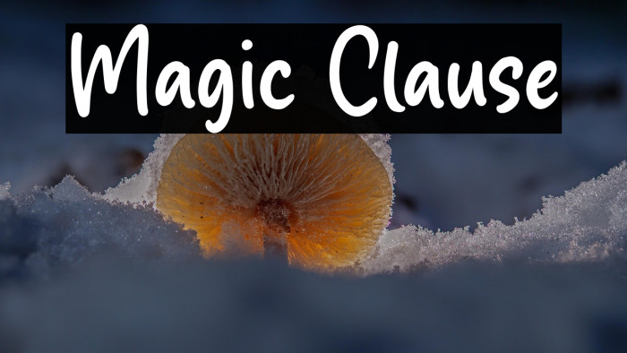 Magic Clause Example 1