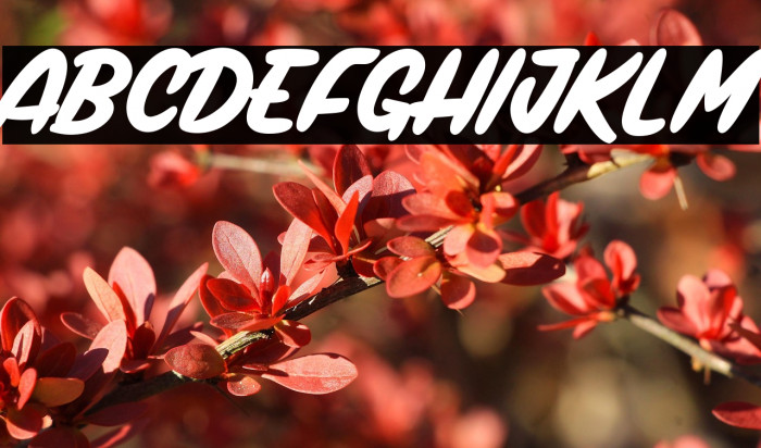 Magic Club_PersonalUseOnly Example 1