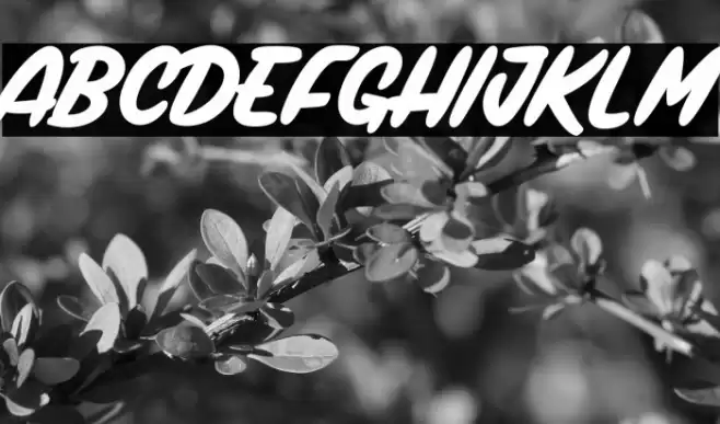 Magic Club_PersonalUseOnly Schriftart examples