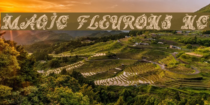 Magic Fleurons NC Font examples