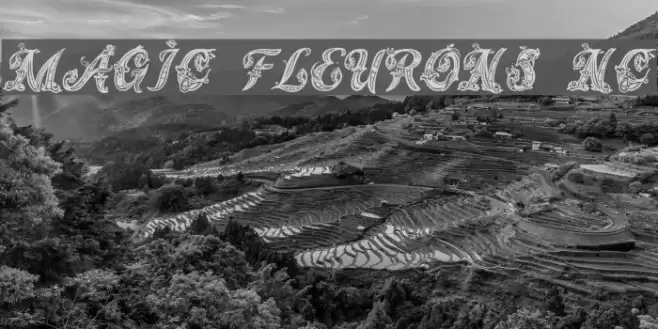 Magic Fleurons NC Fonte examples