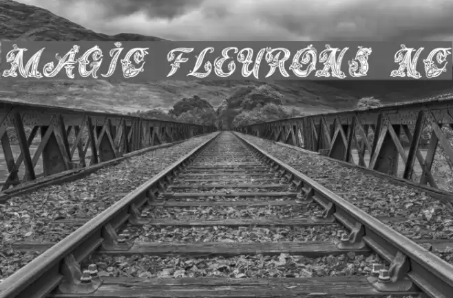 Magic Fleurons NC Fonte examples