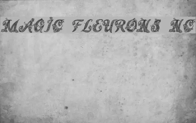 Magic Fleurons NC Fonte examples