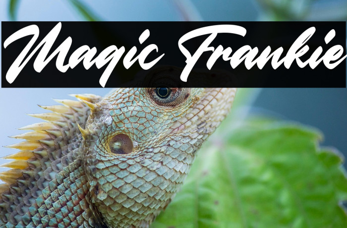 Magic Frankie Example 2