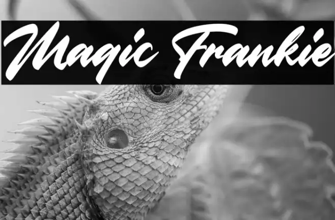 Magic Frankie Example 2
