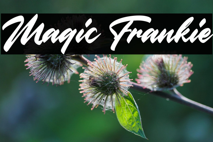 Magic Frankie Example 3