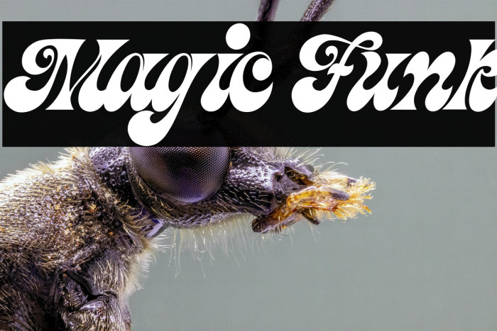 Magic Funk Example 2