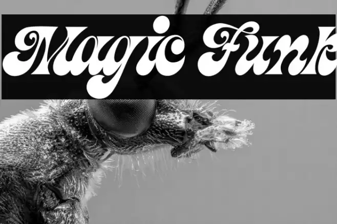 Magic Funk Example 2