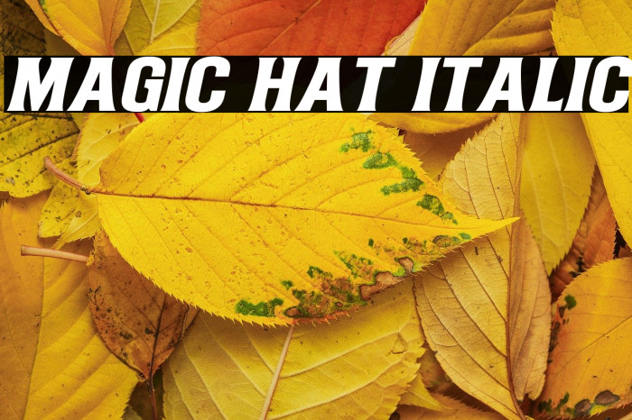 Magic Hat Italic Example 2