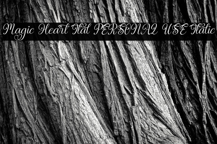 Magic Heart Ital PERSONAL USE Italic Example 1