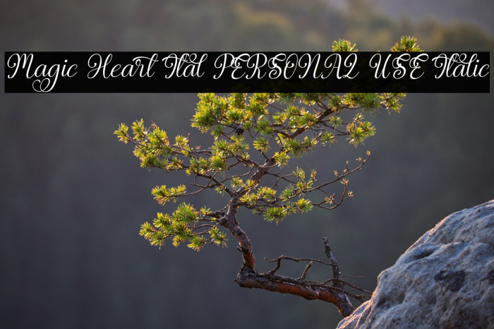 Magic Heart Ital PERSONAL USE Italic Example 2