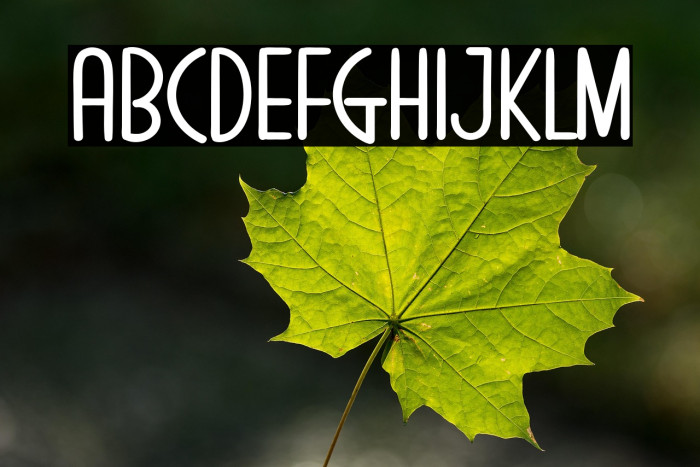 Magic In Valentine Example 1