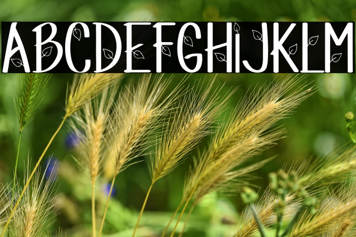 Magic Leaf Example 2