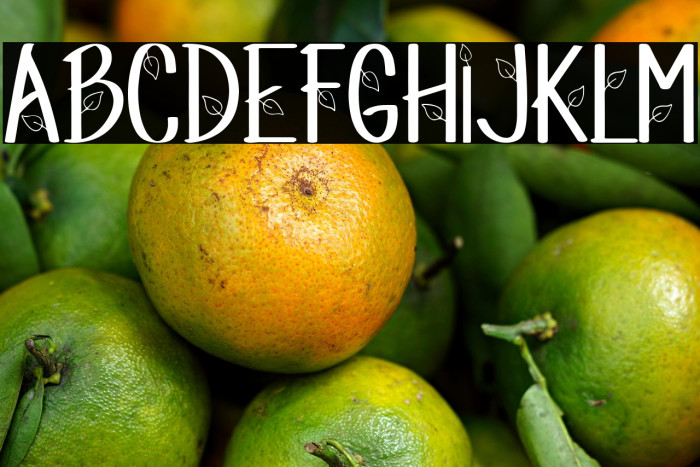 Magic Leaf Example 3