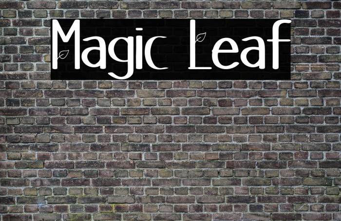 Magic Leaf Example 1