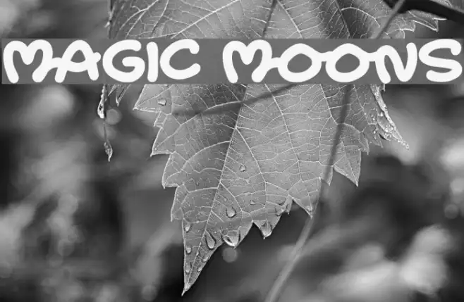 Magic Moons Example 1