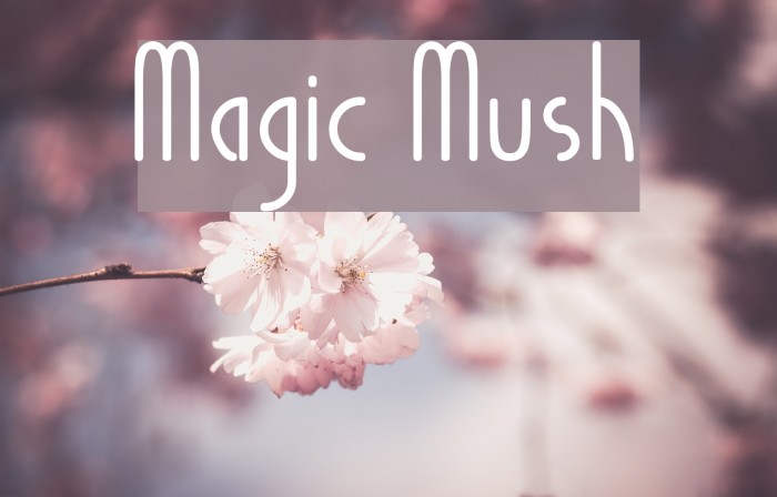Magic Mush Font examples