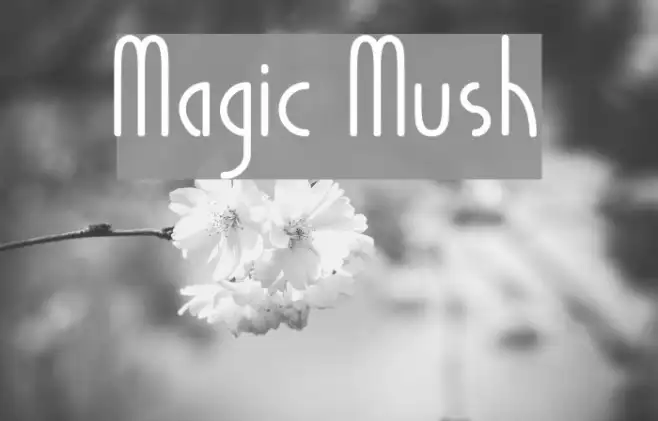 Magic Mush Example 1