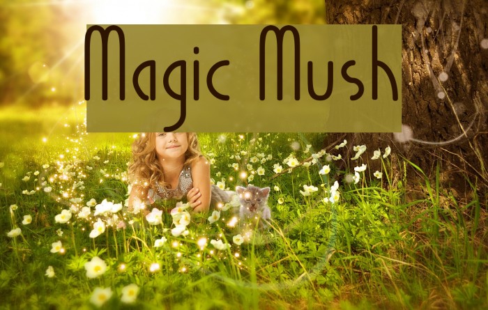 Magic Mush Font examples