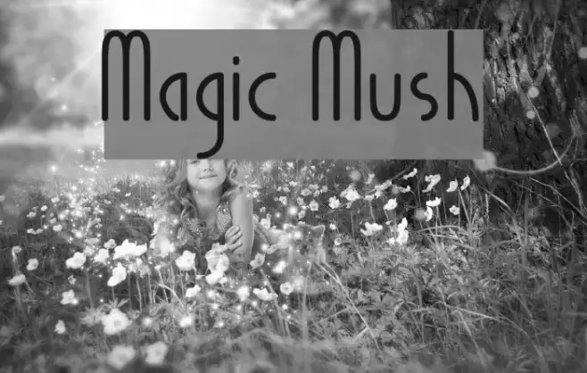 Magic Mush Example 2