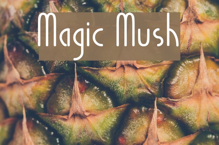 Magic Mush Font examples