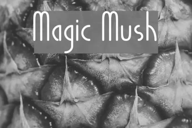 Magic Mush Example 3