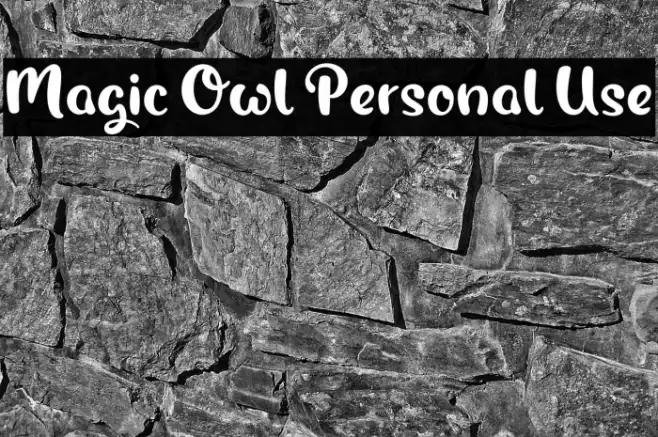 Magic Owl Personal Use Example 1