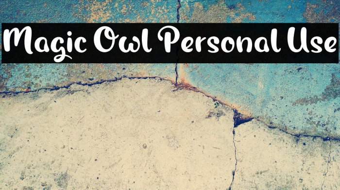 Magic Owl Personal Use Example 2