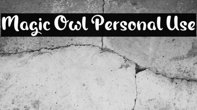 Magic Owl Personal Use Example 2